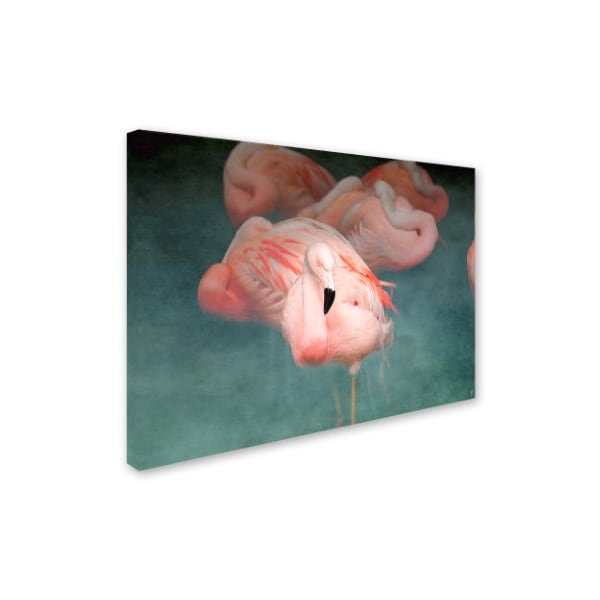 Jai Johnson 'Pink Flamingo 1' Canvas Art,18x24